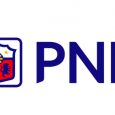 pnb logo